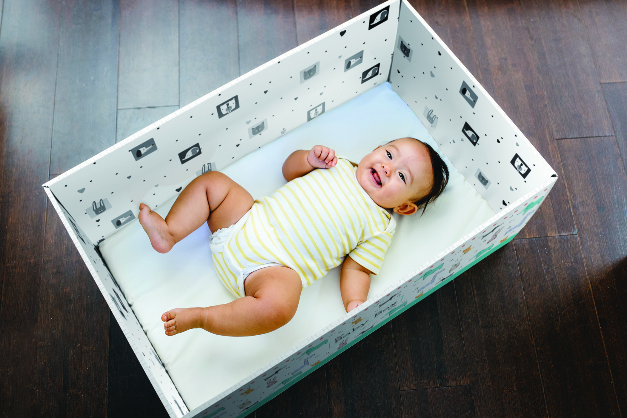 The Baby Box Co